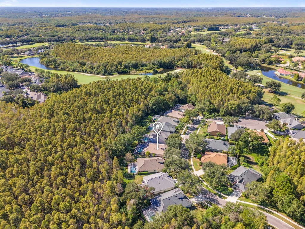 5542 Avenue Du Soleil Lutz FL 33558 TB8426100 image33