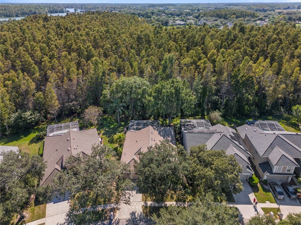 5542 Avenue Du Soleil Lutz FL 33558 TB8426100 image34