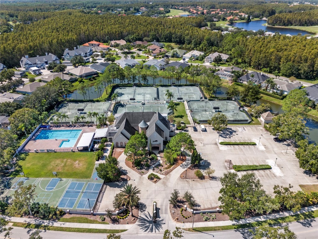 5542 Avenue Du Soleil Lutz FL 33558 TB8426100 image36
