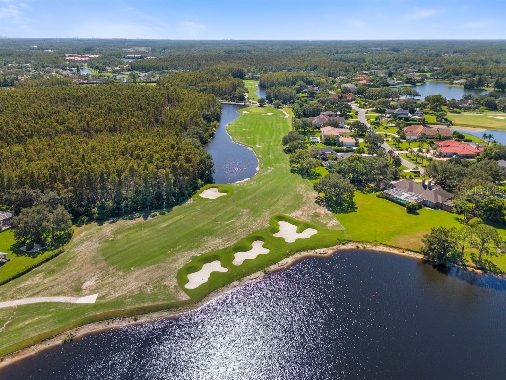 5542 Avenue Du Soleil Lutz FL 33558 TB8426100 image38