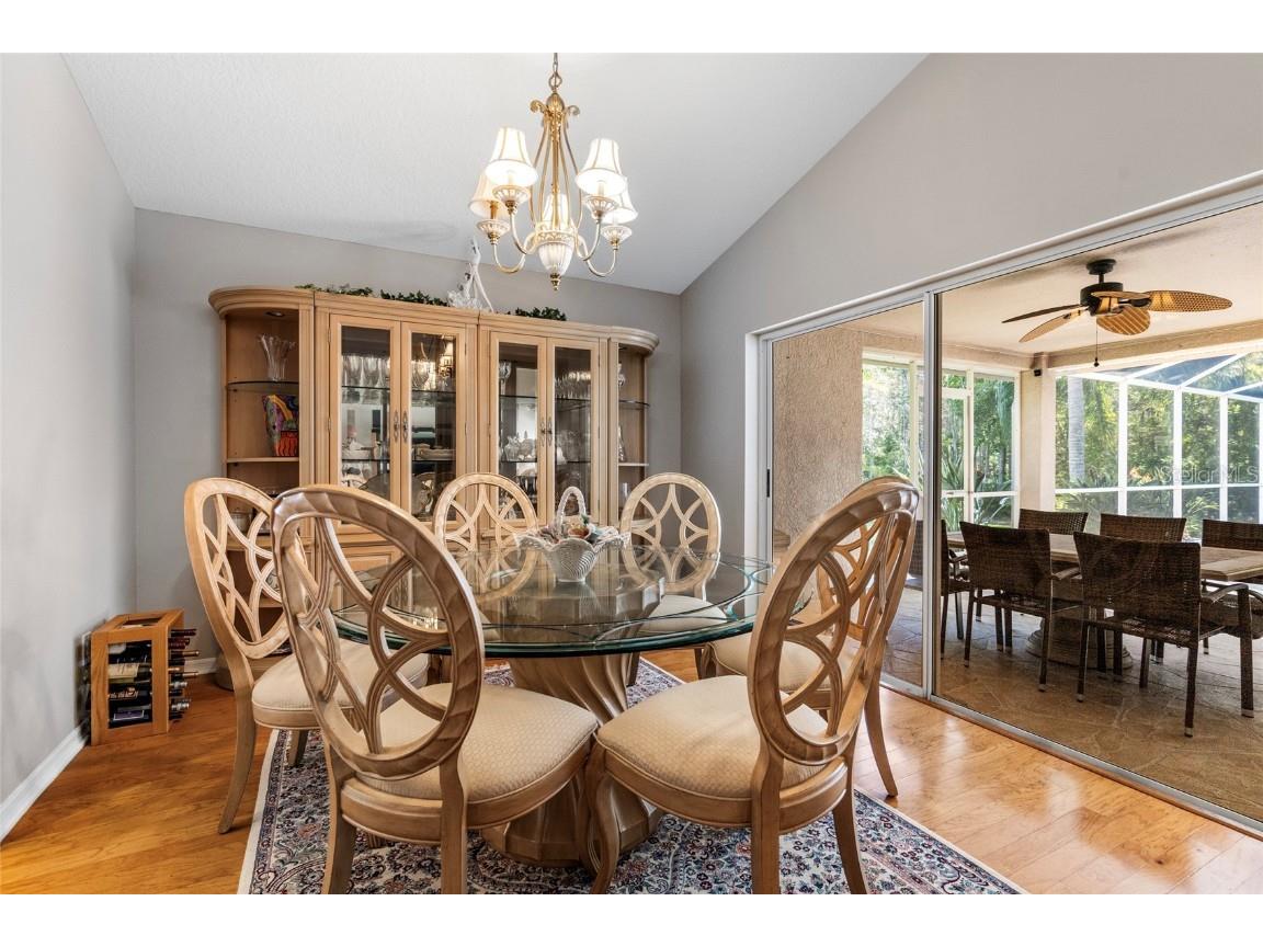 5542 Avenue Du Soleil Lutz FL 33558 TB8426100 image6