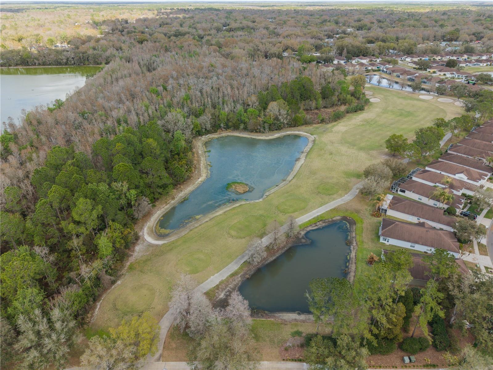 5542 Gallant Fox Court Wesley Chapel FL 33544 TB8483235 image20