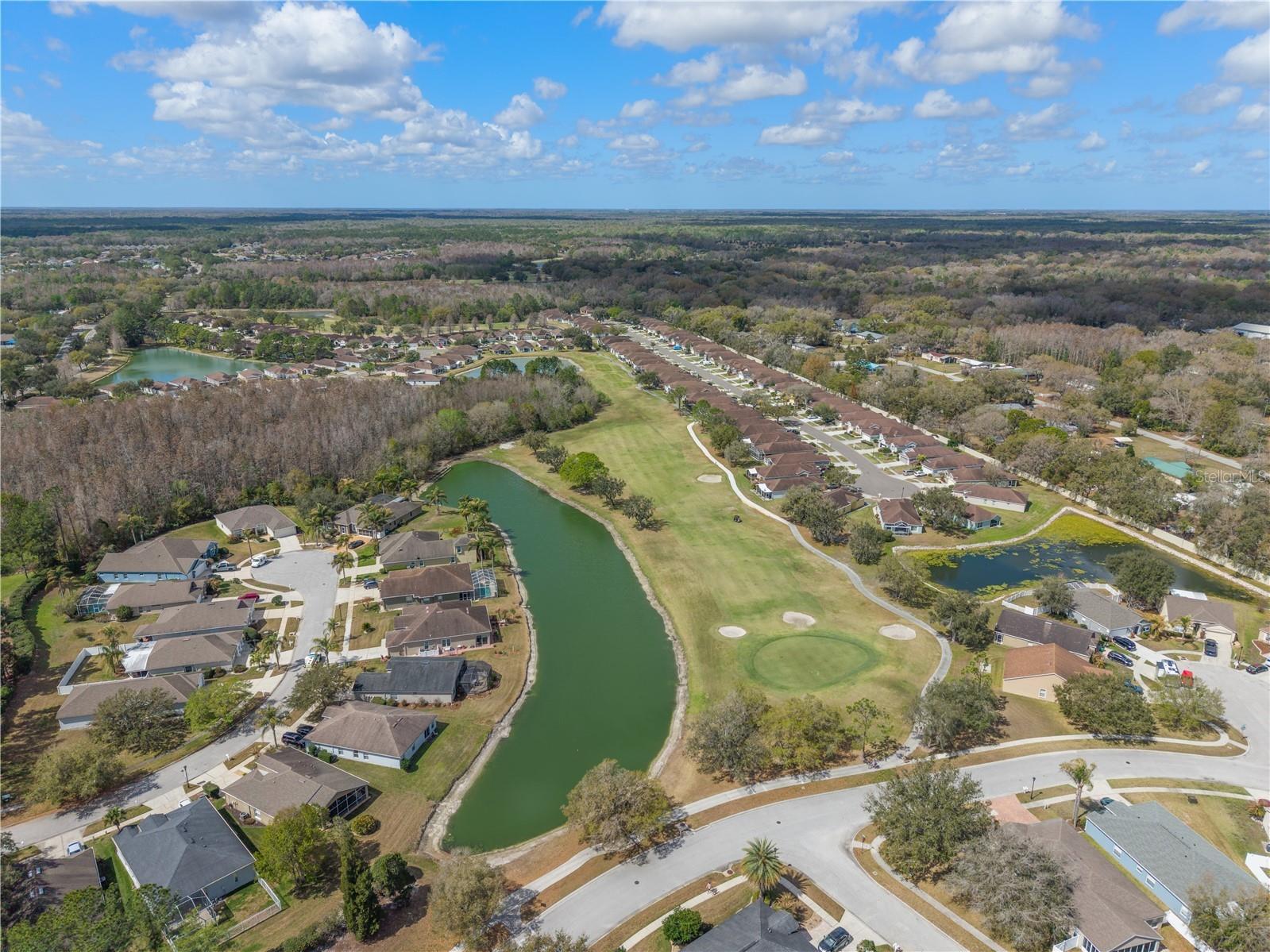 5542 Gallant Fox Court Wesley Chapel FL 33544 TB8483235 image21