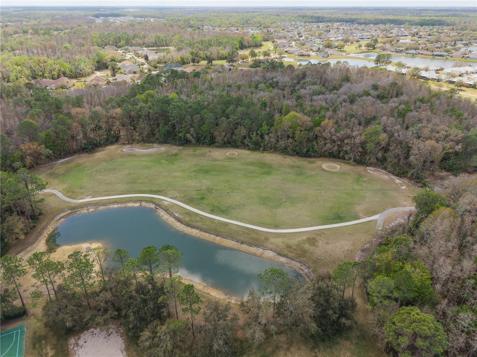 5542 Gallant Fox Court Wesley Chapel FL 33544 TB8483235 image22