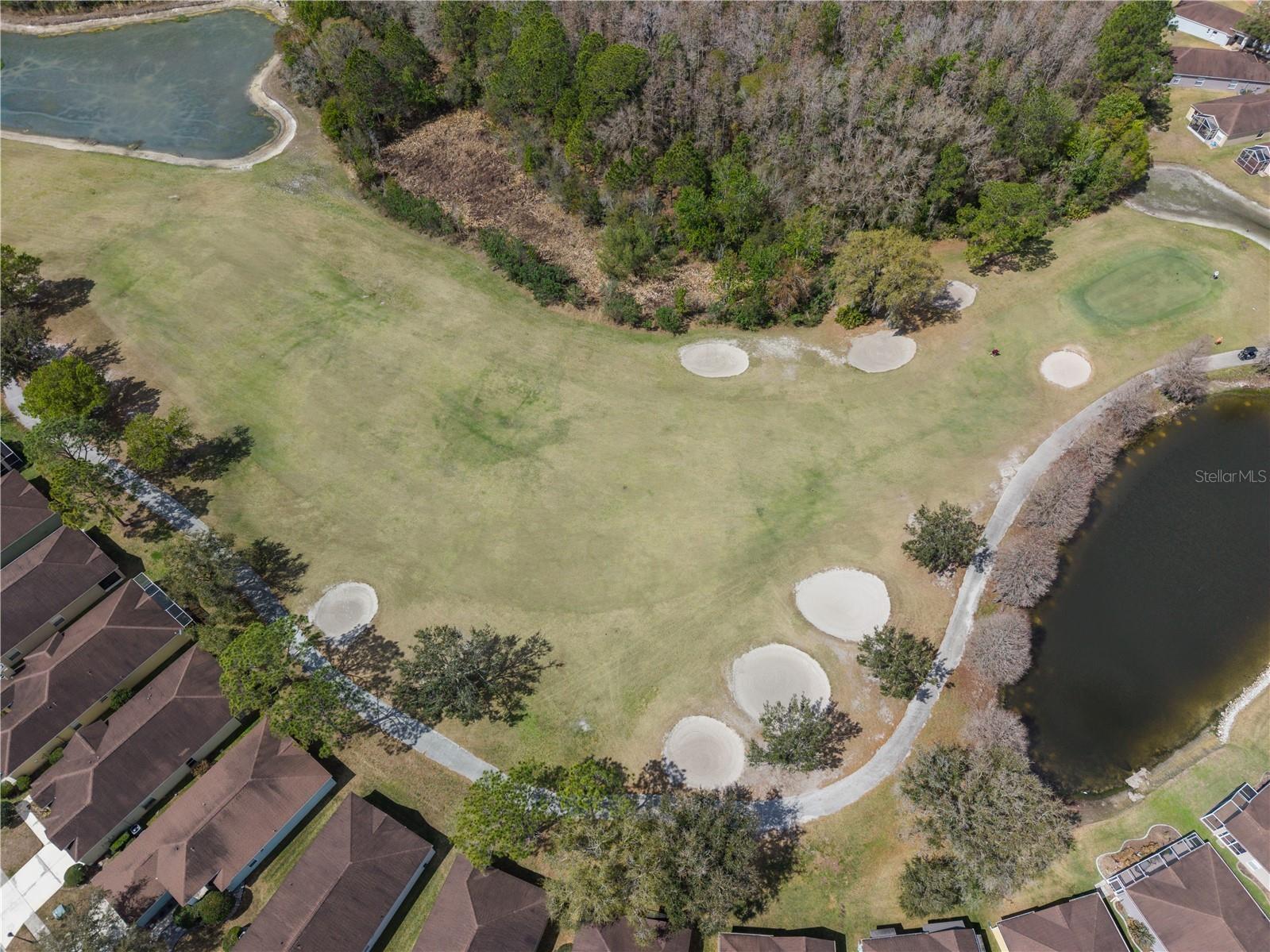 5542 Gallant Fox Court Wesley Chapel FL 33544 TB8483235 image23