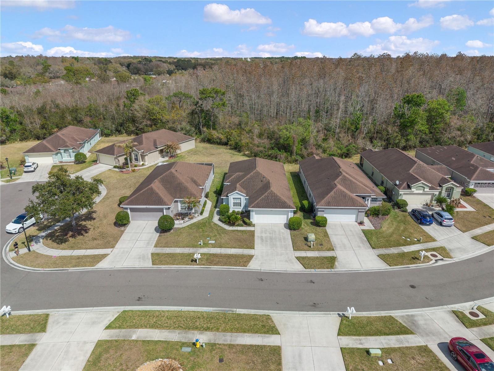 5542 Gallant Fox Court Wesley Chapel FL 33544 TB8483235 image6