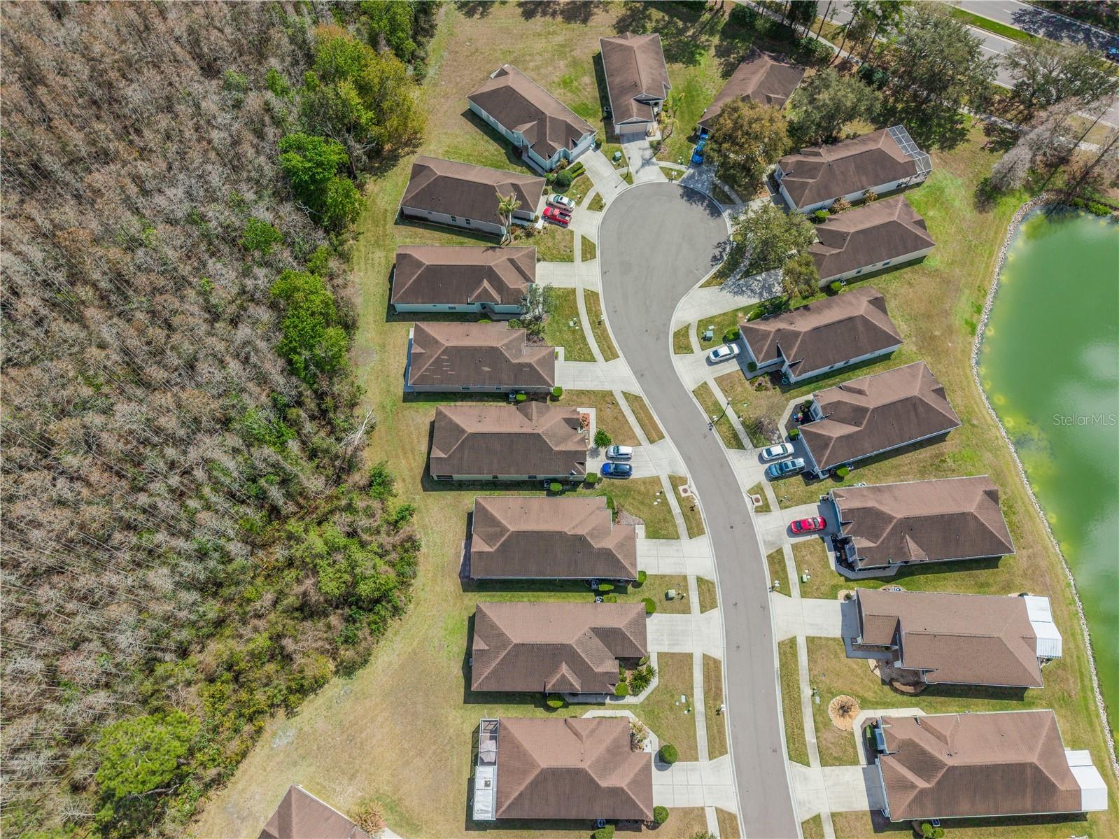 5542 Gallant Fox Court Wesley Chapel FL 33544 TB8483235 image7