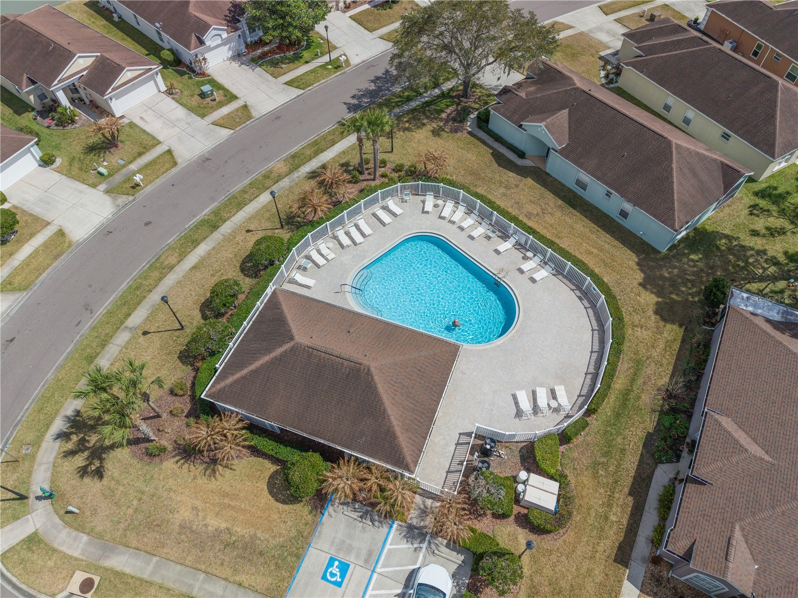 5542 Gallant Fox Court Wesley Chapel FL 33544 TB8483235 image8