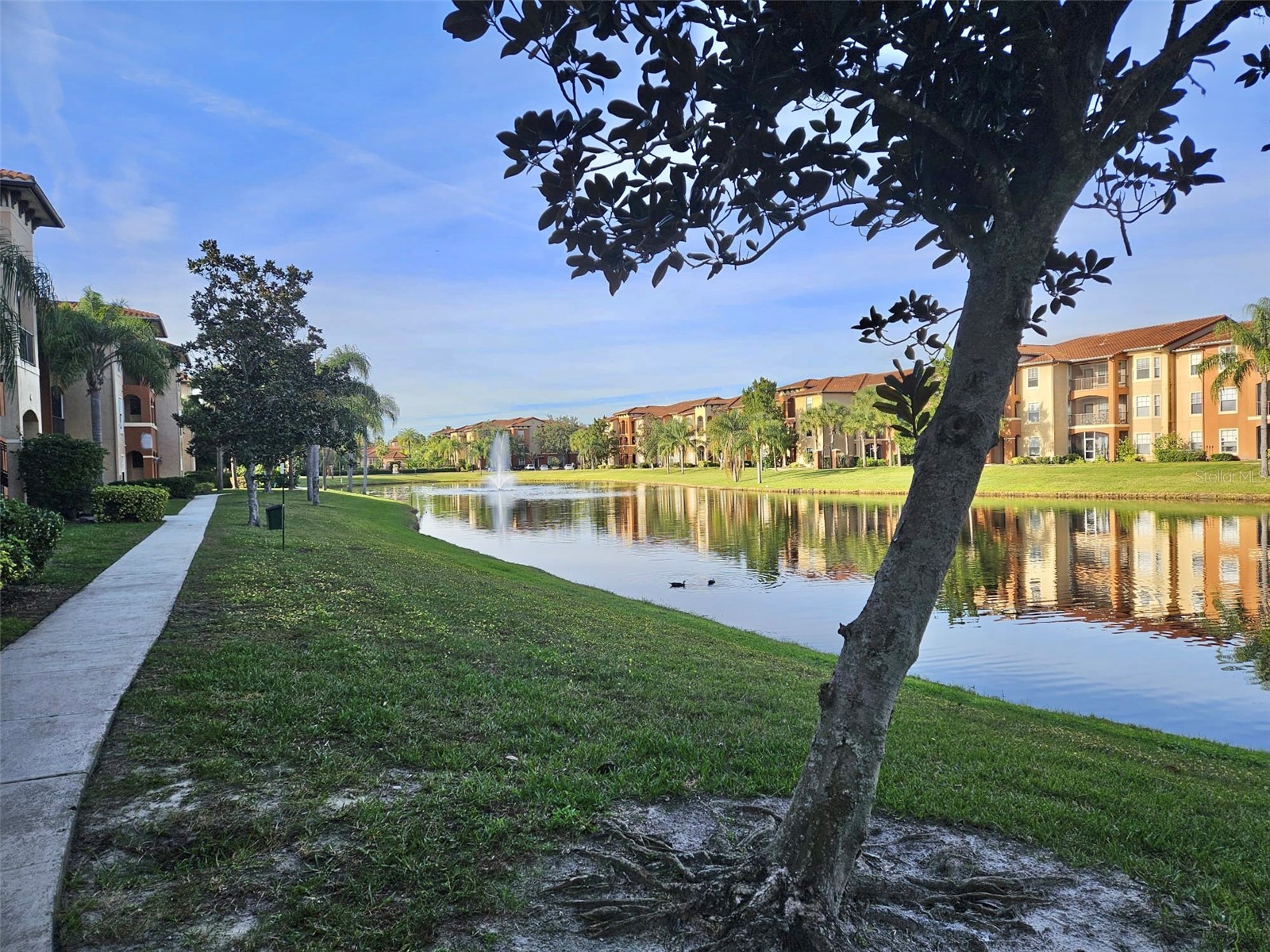 5542 Metrowest Boulevard #104 Orlando FL 32811 O6385843 image28