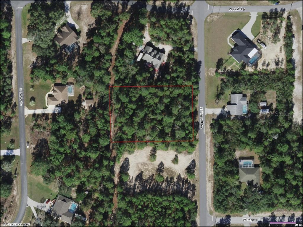 5542 N Flagstaff Avenue Beverly Hills FL 34465 U8226441 image1