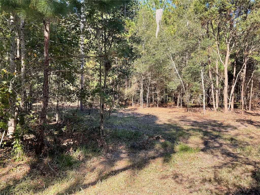 5542 SW 57th Avenue Gainesville FL 32608 GC514270 image1