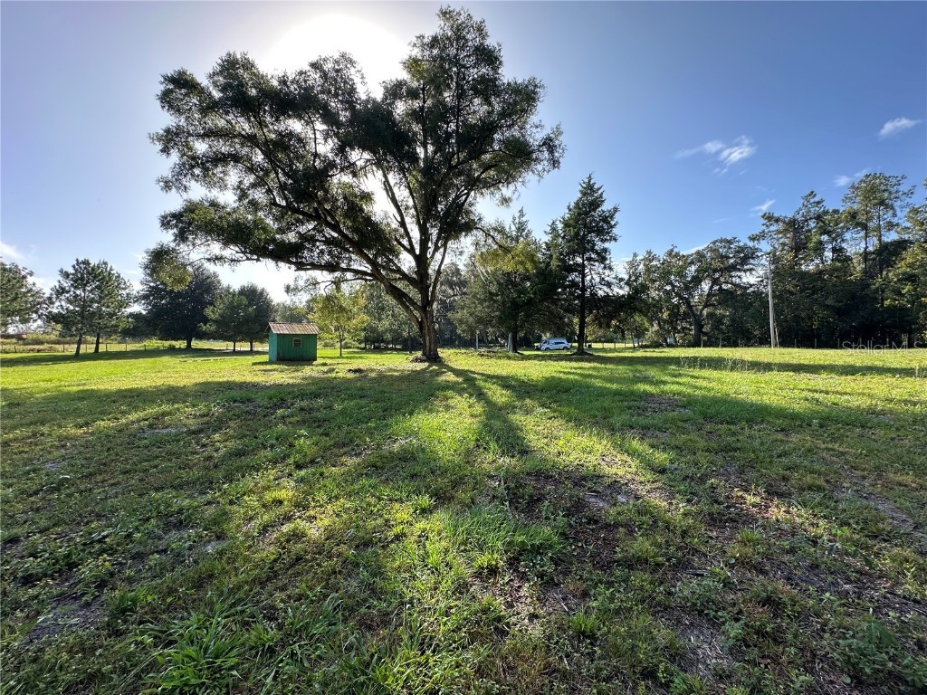 5542 SW 57th Avenue Gainesville FL 32608 OM710844 image3