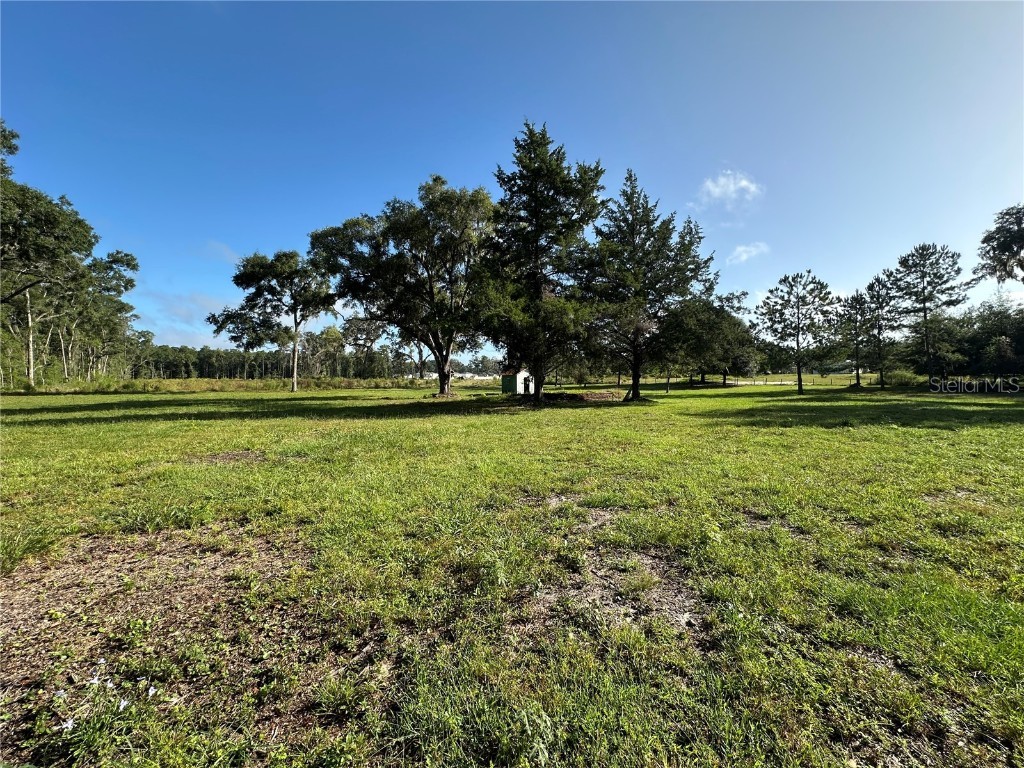 5542 SW 57th Avenue Gainesville FL 32608 OM710844 image5