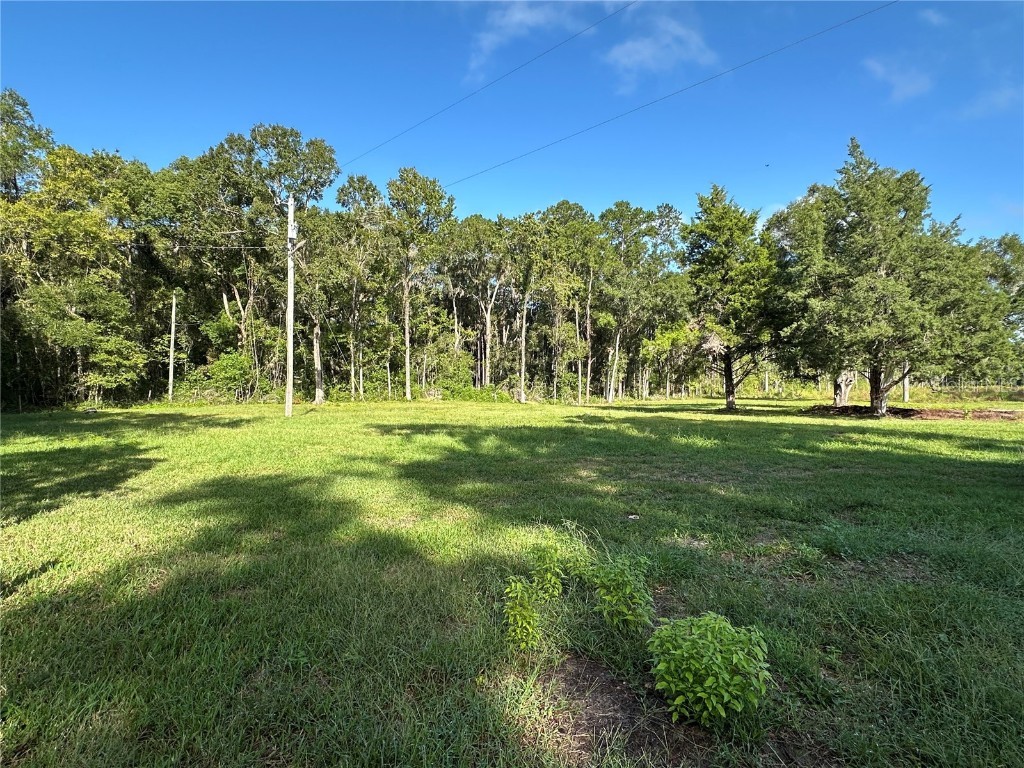 5542 SW 57th Avenue Gainesville FL 32608 OM710844 image7