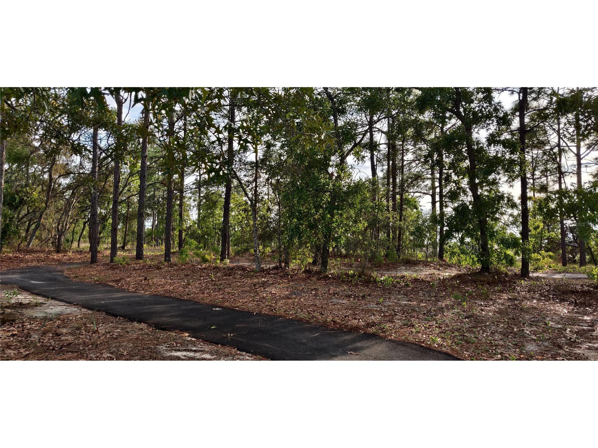 5543 Ocean Breeze Drive Spring Hill FL 34609 OM715557 image24