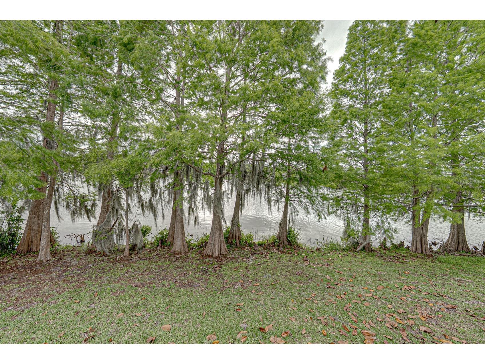5544 Huron Way Lakeland FL 33805 L4961014 image62