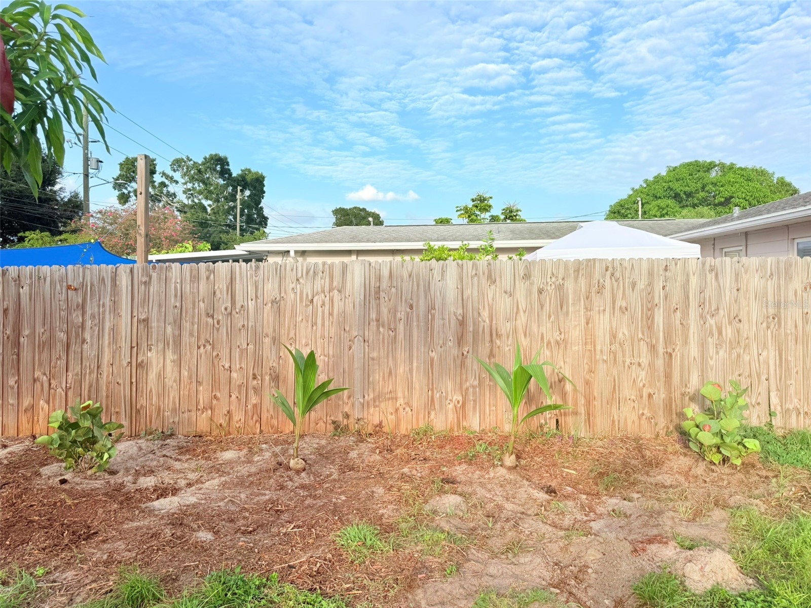 5545 3rd Ave N Saint Petersburg FL 33710 TB8505538 image77