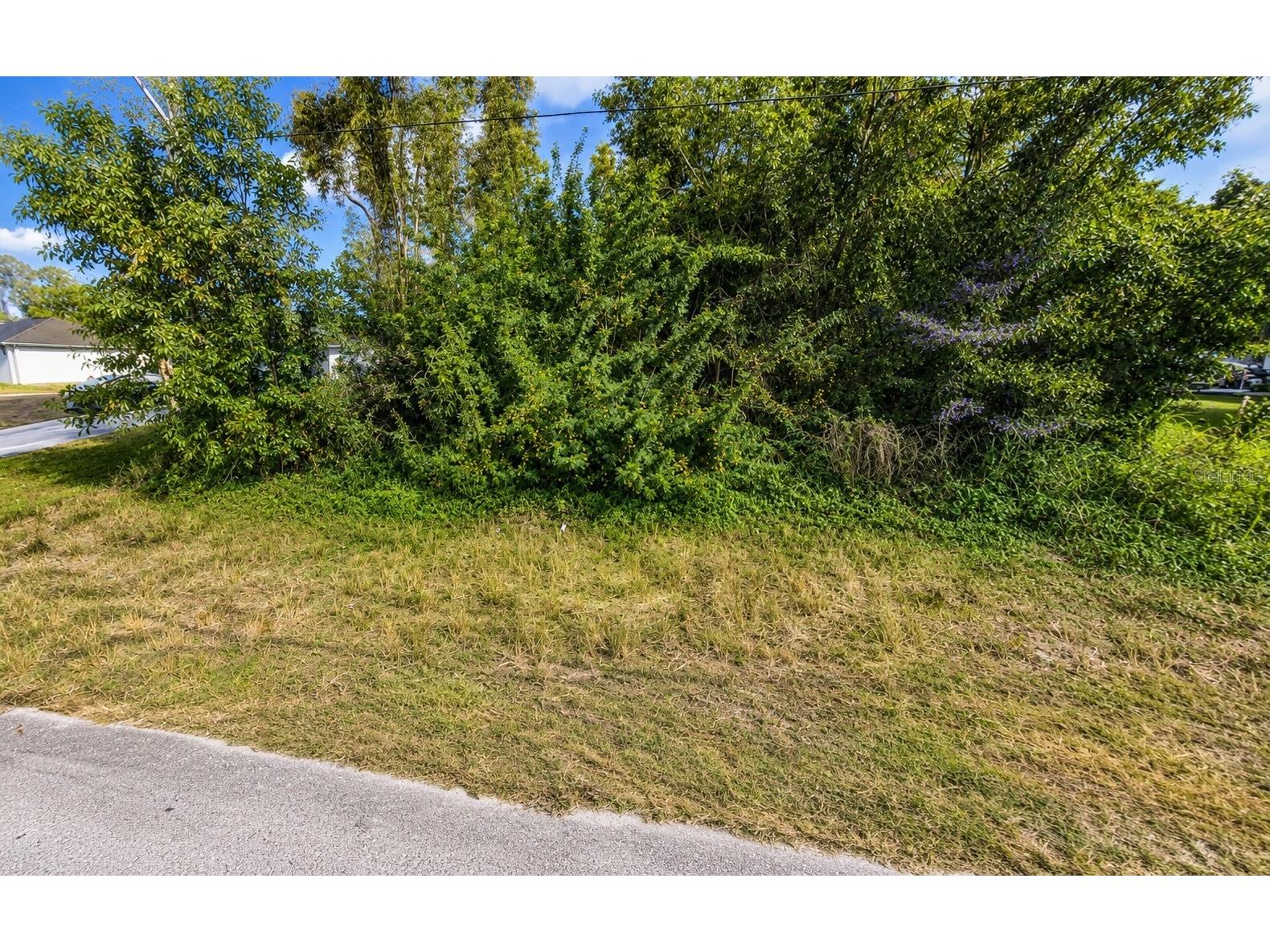 5545 Belrose Street Lehigh Acres FL 33971 O6417555 image2
