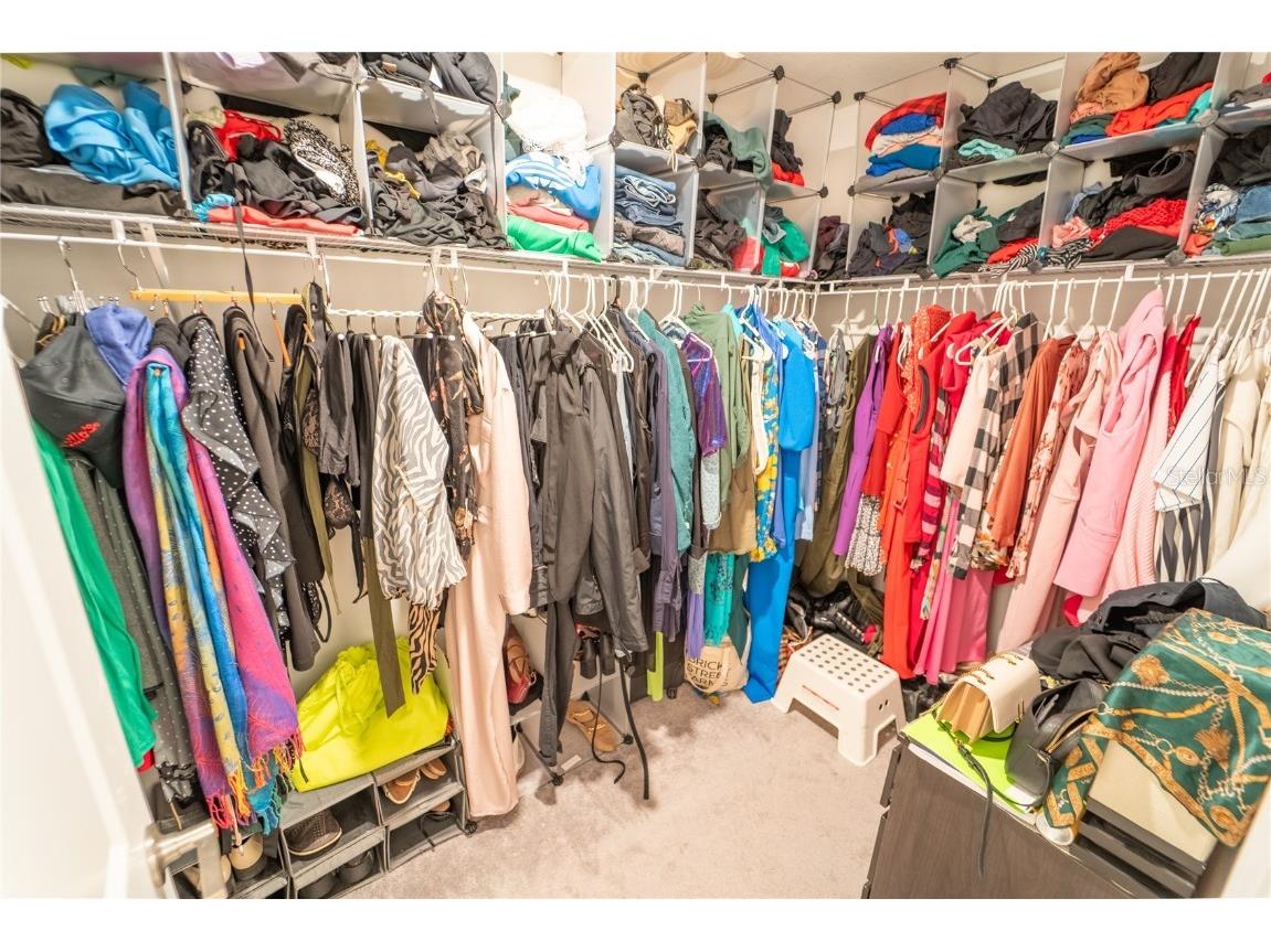 5545 Blue Azure Drive Wimauma FL 33598 TB8422039 image38