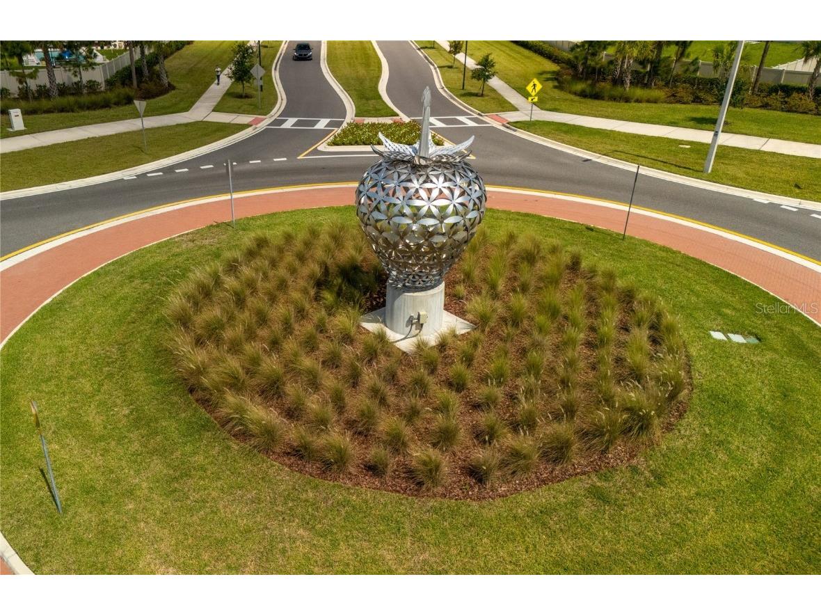 5545 Blue Azure Drive Wimauma FL 33598 TB8422039 image9