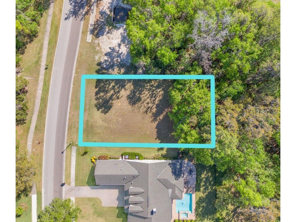 5545 Summit View Drive Brooksville FL 34601 TB8366419 image5