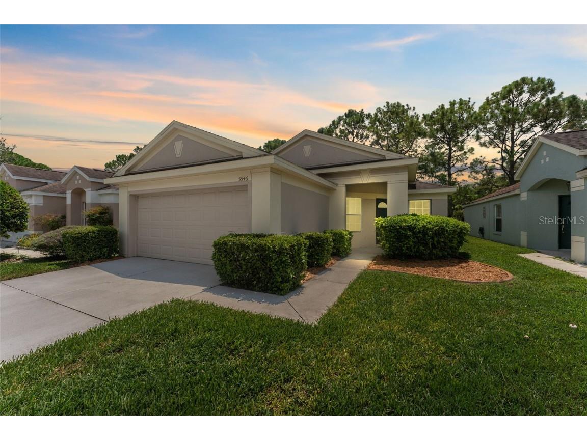 5546 Cannonade Drive Wesley Chapel FL 33544 TB8418422 image1