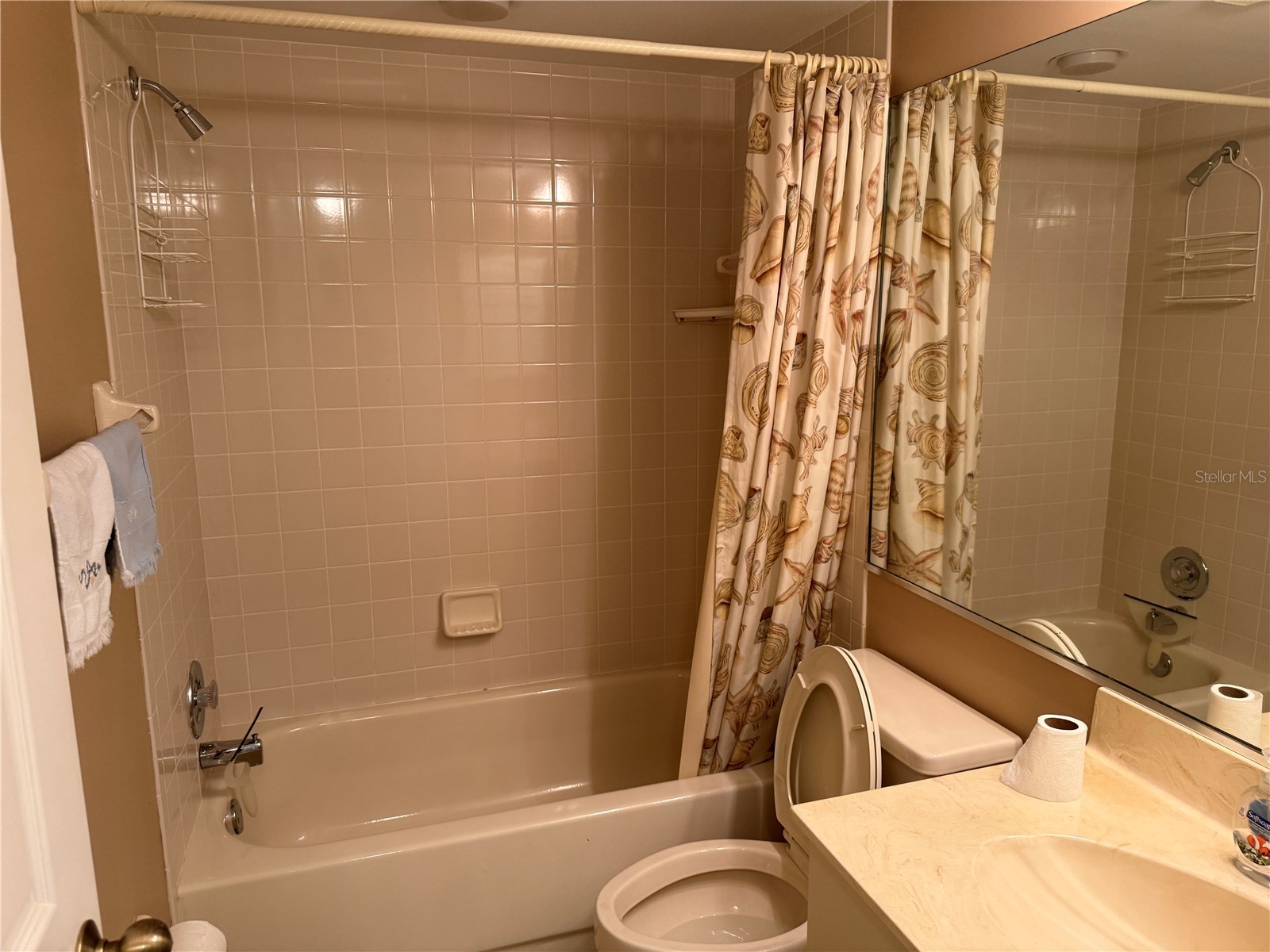 5547 Ashton Lake Drive #5547 Sarasota FL 34231 - SUNNYSIDE LAKE A4686214 image23