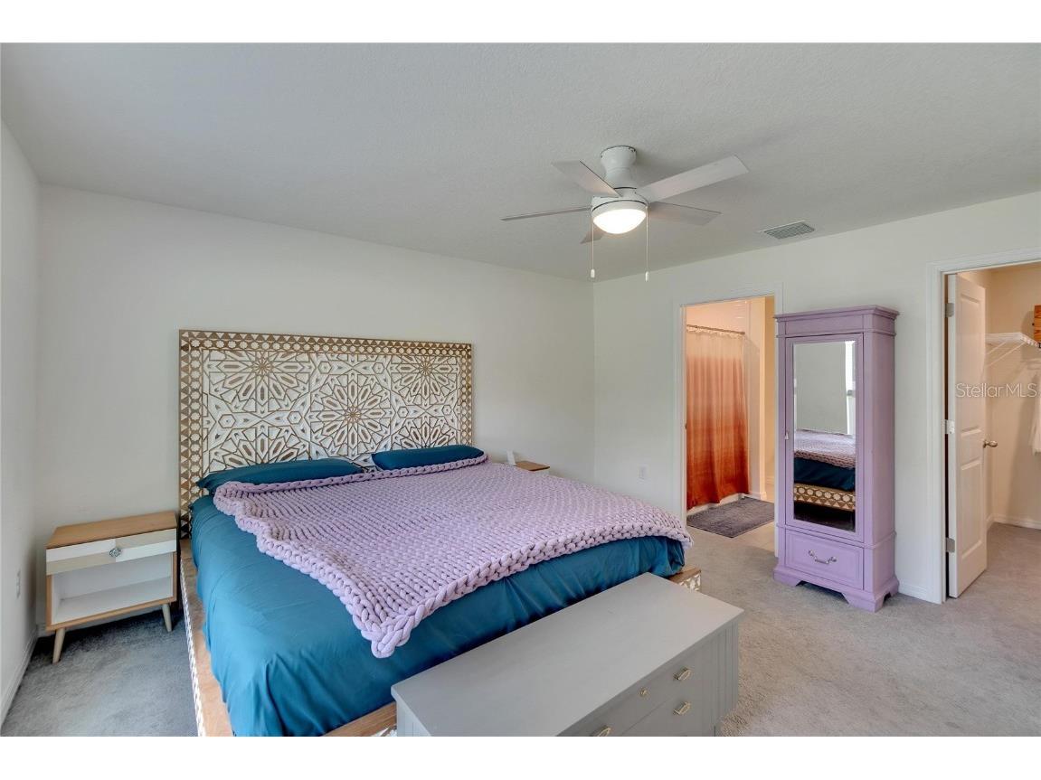 5547 Logan Cave Avenue Wimauma FL 33598 A4671948 image13