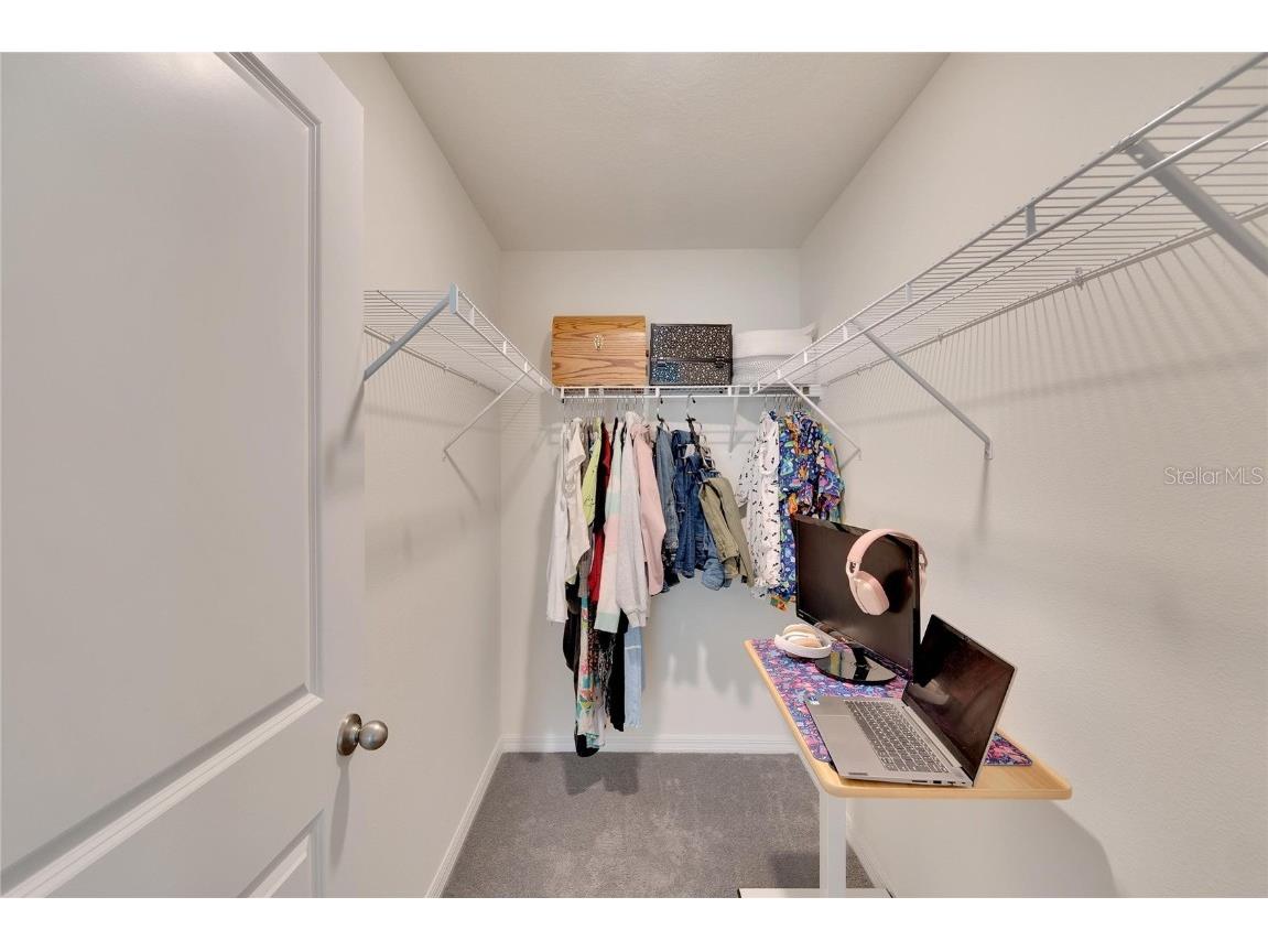 5547 Logan Cave Avenue Wimauma FL 33598 A4671948 image15