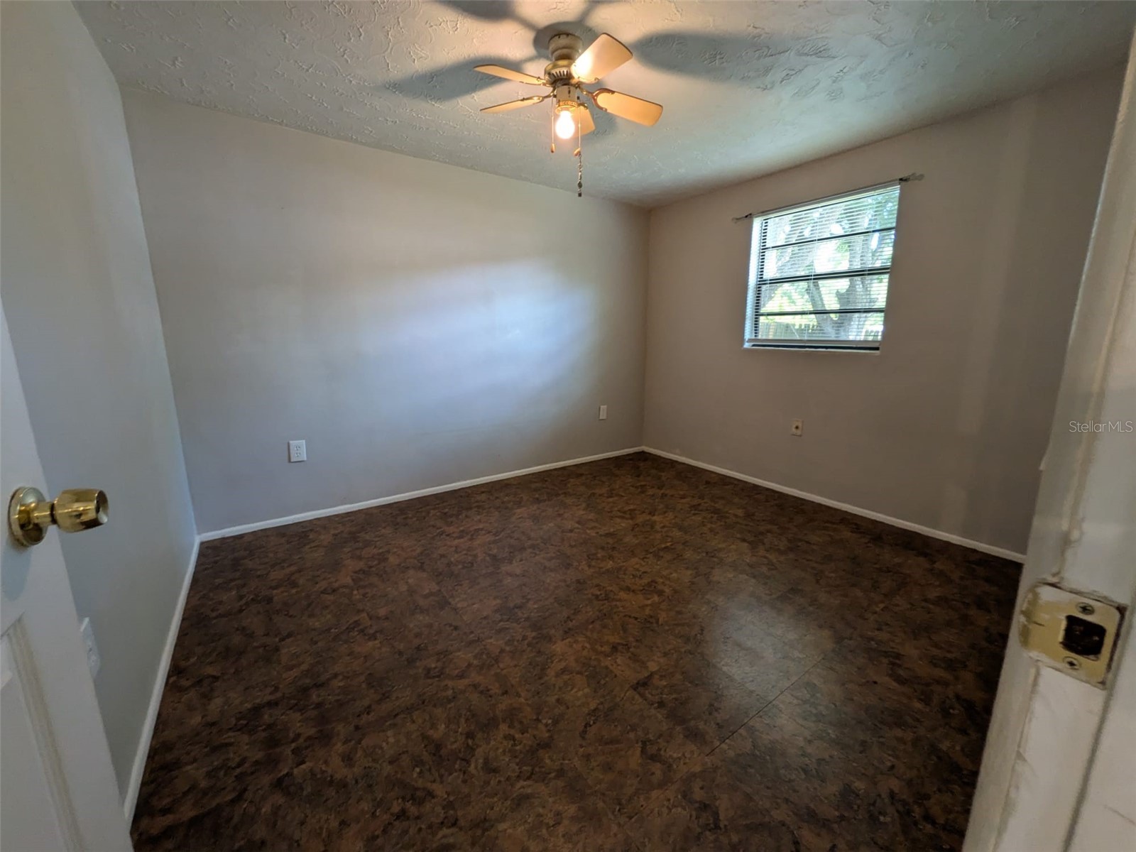 5547 Mallow Street New Port Richey FL 34652 TB8523342 image9
