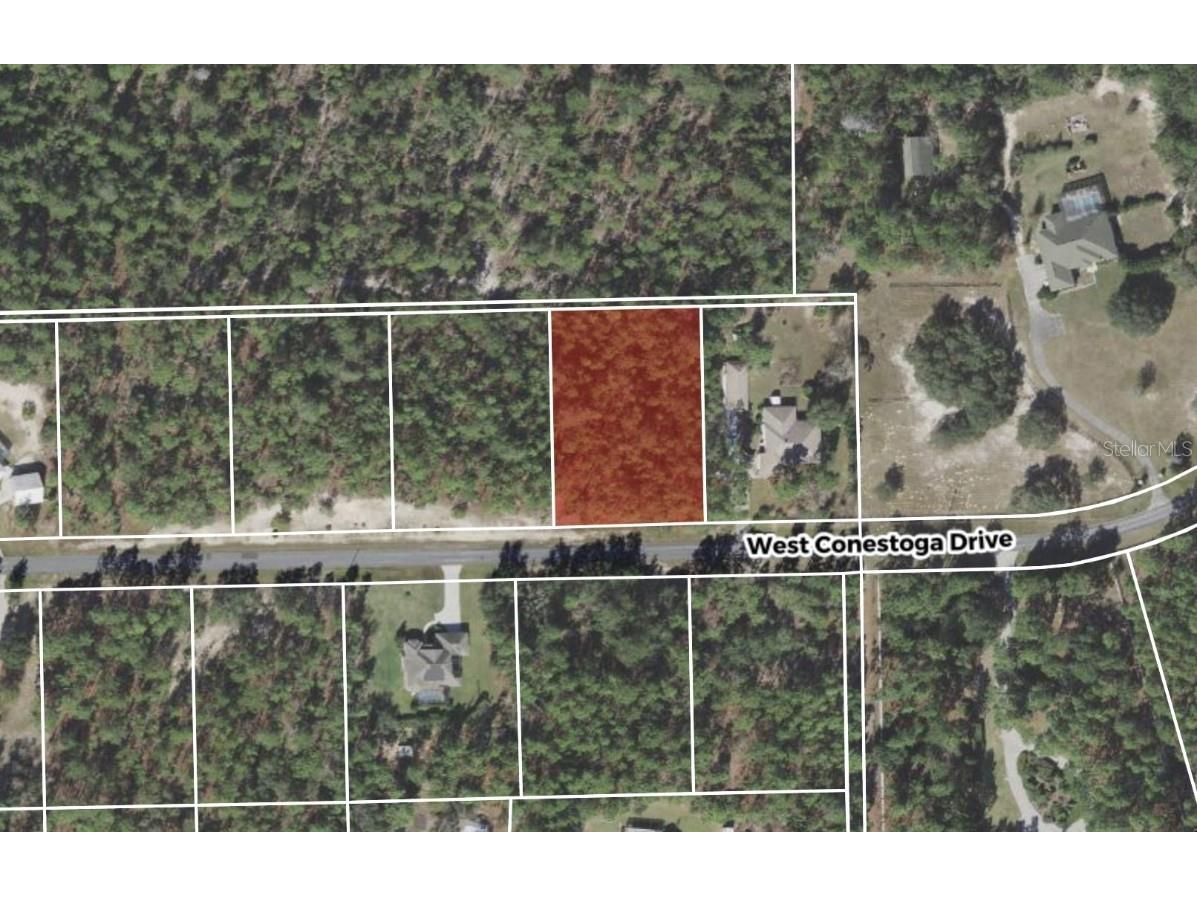 5547 W Conestoga Street Beverly Hills FL 34465 GC522095 image1