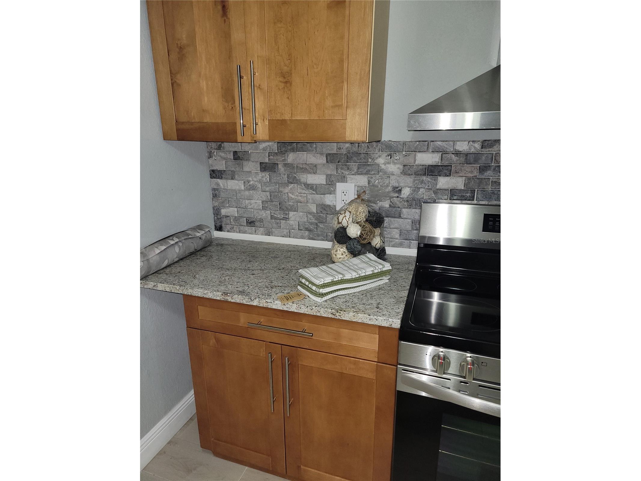 5548 11th Street Zephyrhills FL 33542 TB8461489 image11