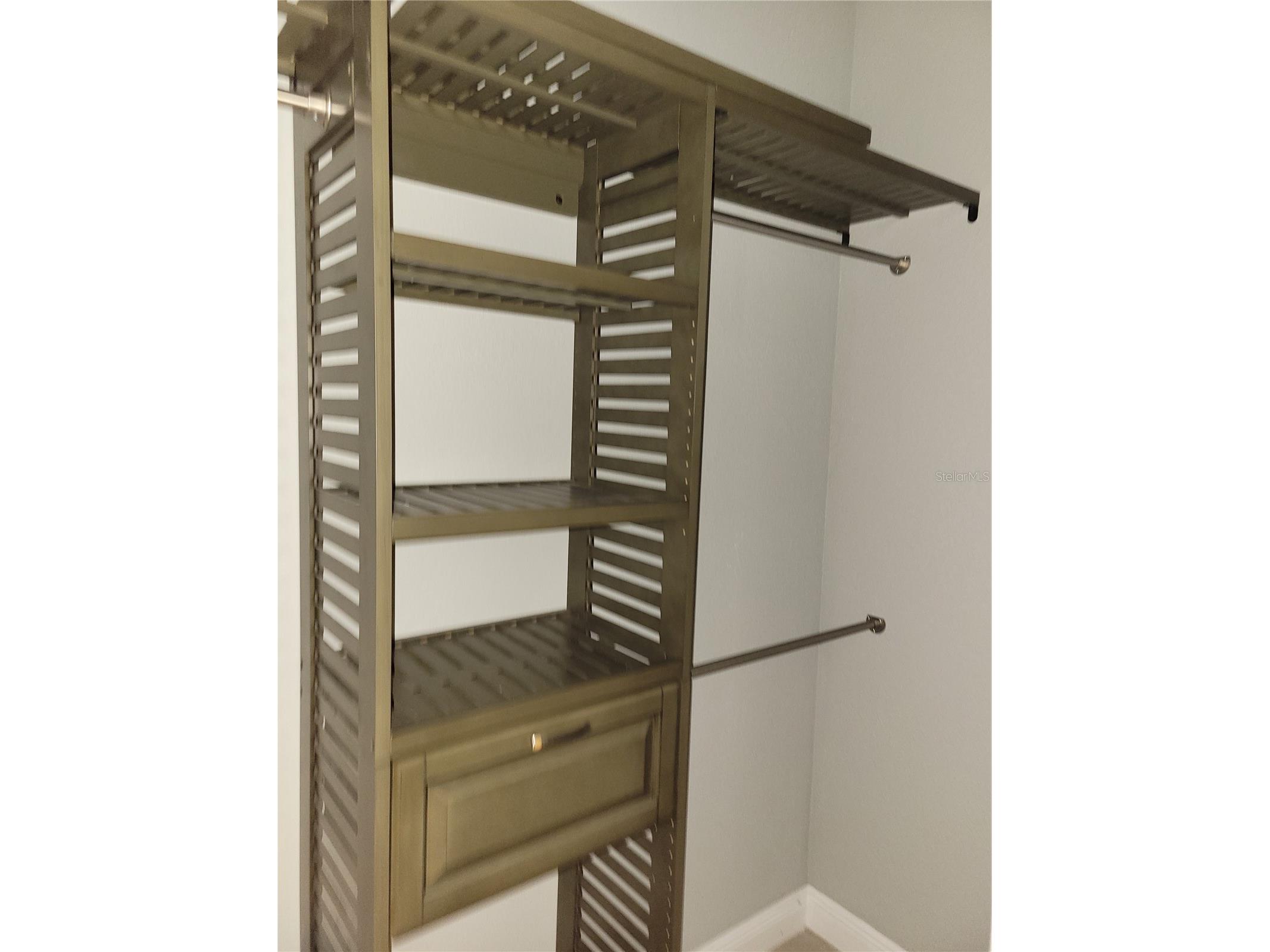 5548 11th Street Zephyrhills FL 33542 TB8461489 image16