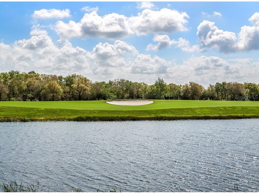 5548 Palmer Circle #103 Bradenton FL 34211 A4683437 image54