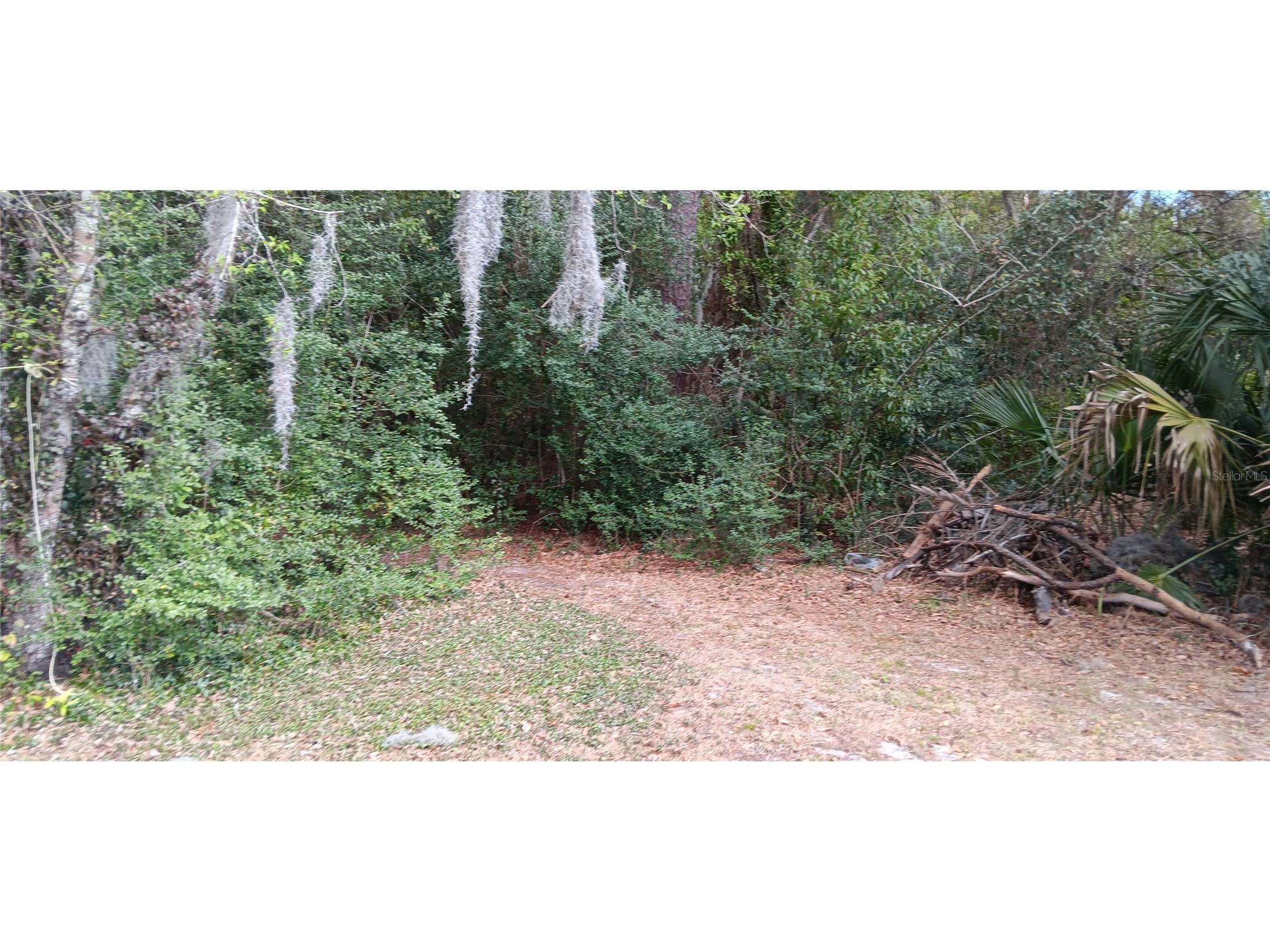 555-565 Lee Road Jacksonville FL 32225 L4959713 image7