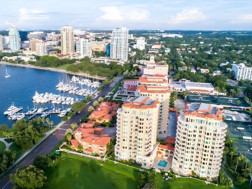 555 5th Avenue NE #833 Saint Petersburg FL 33701 - TAMPA BAY TB8428805 image1