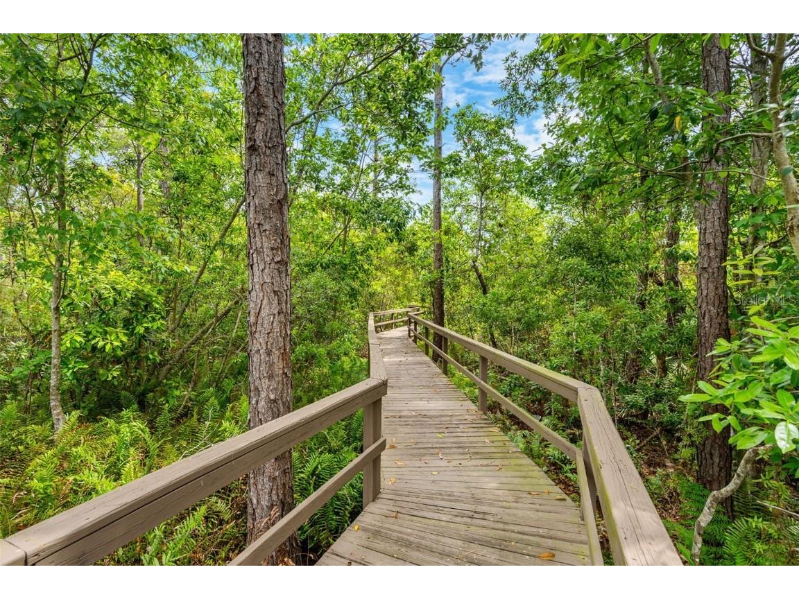 555 Carey Way Orlando FL 32825 O6367959 image61