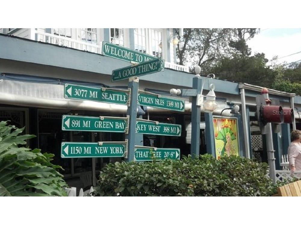 555 Florida Avenue Palm Harbor FL 34683 TB8435176 image34