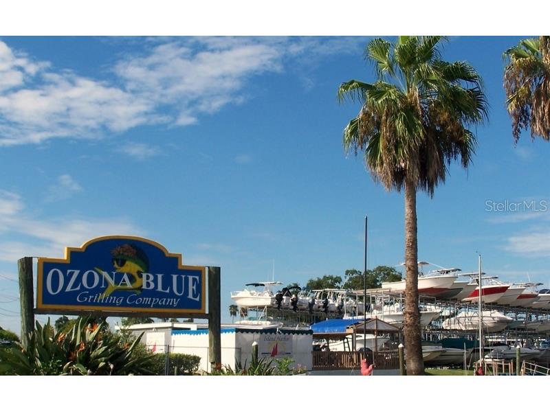 555 Florida Avenue Palm Harbor FL 34683 TB8435176 image35