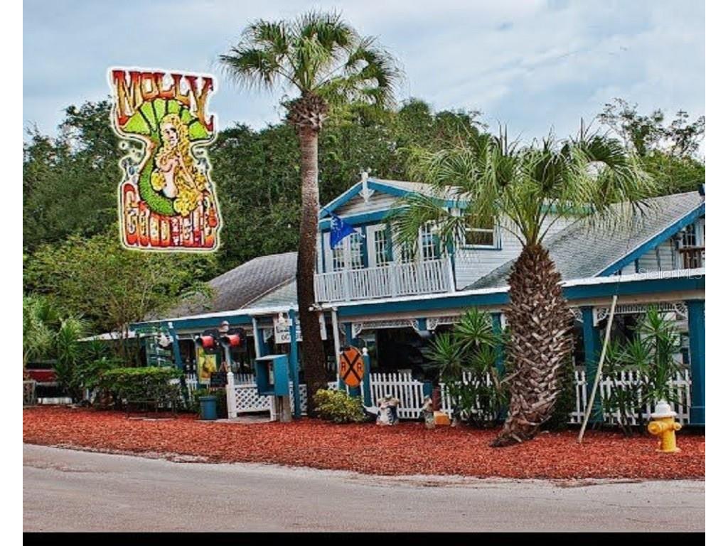 555 Florida Avenue Palm Harbor FL 34683 TB8435176 image36