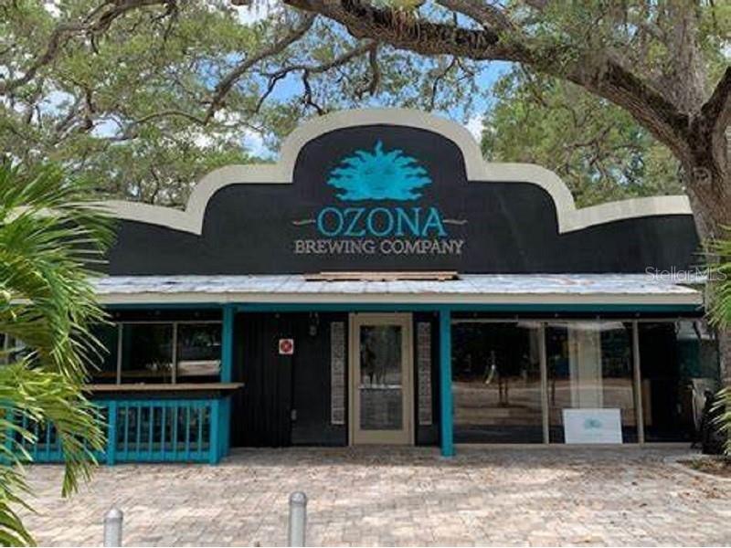 555 Florida Avenue Palm Harbor FL 34683 TB8435176 image37