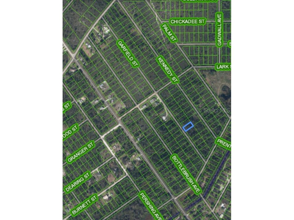 555 Garfield Street Lake Placid FL 33852 O6191785 image1