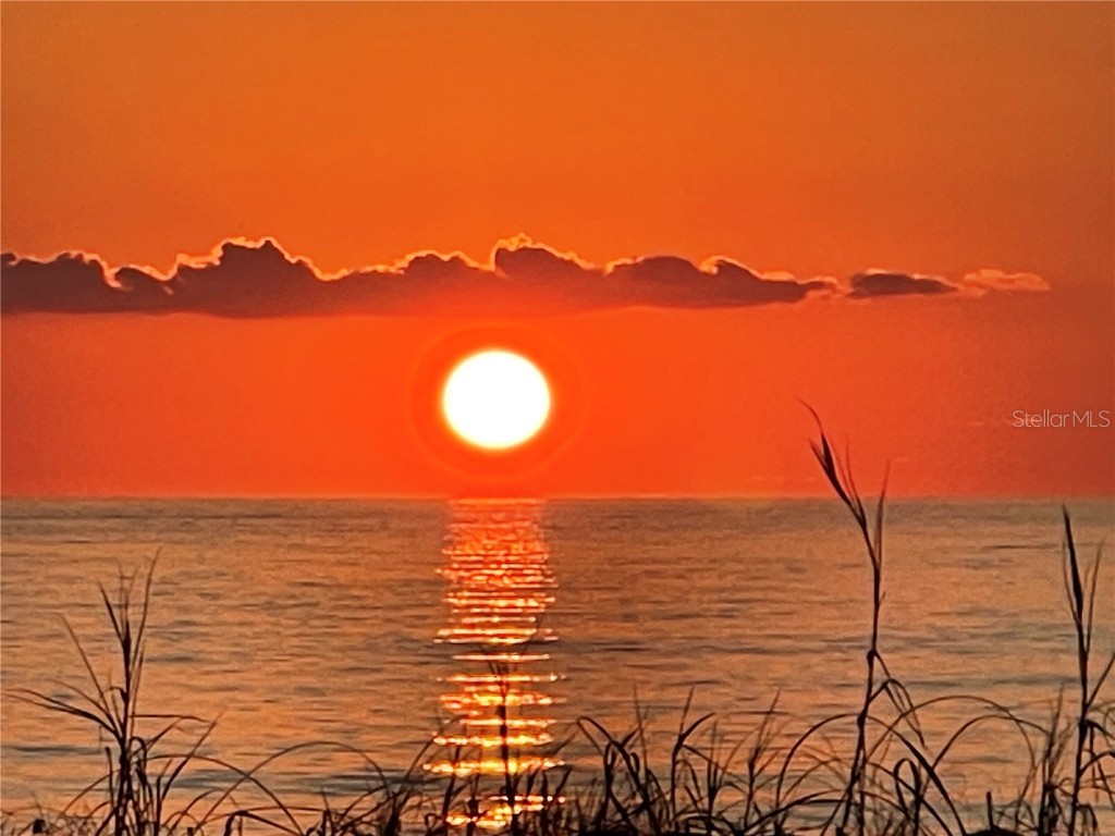 555 Gulf Way #7N Saint Pete Beach FL 33706 TB8348974 image43