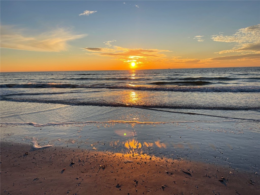 555 Gulf Way #7N Saint Pete Beach FL 33706 TB8348974 image8