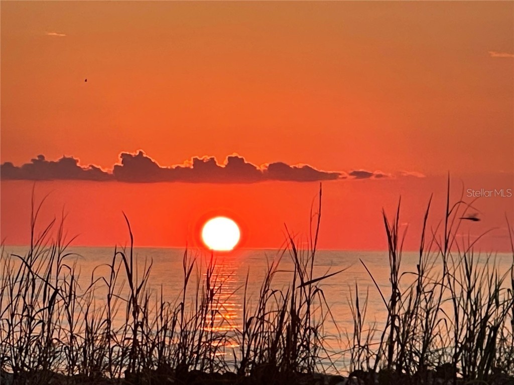 555 Gulf Way #7N Saint Pete Beach FL 33706 TB8348974 image9