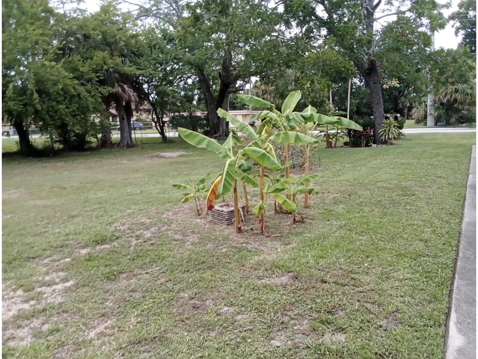 555 Oak Street Daytona Beach FL 32114 O6370387 image6