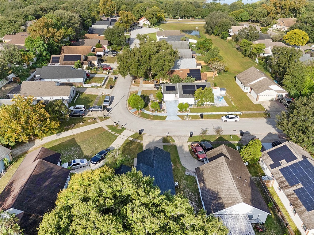 555 Swallow Court Apopka FL 32712 O6346853 image4