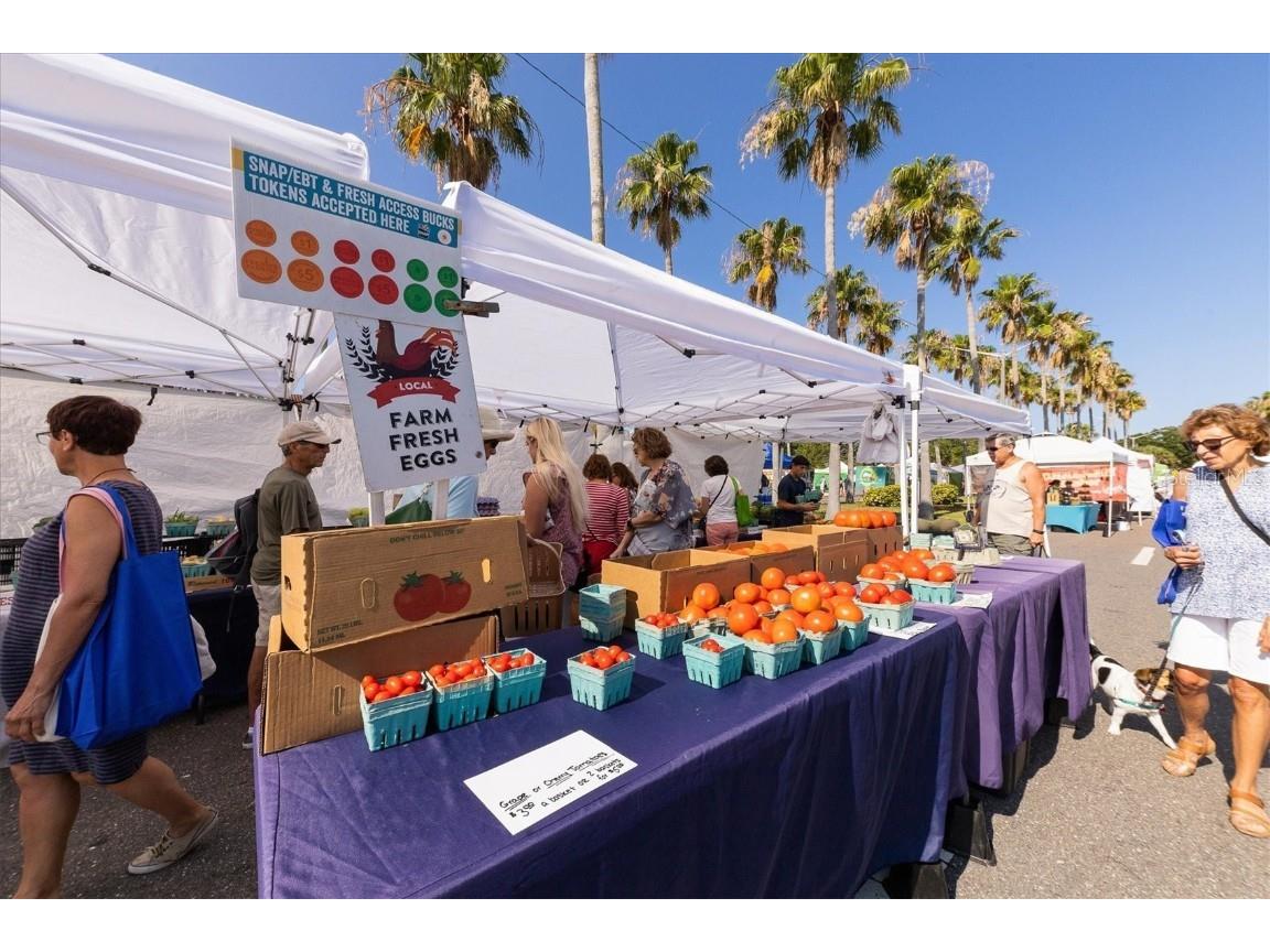 555 The Esplanade N #301 Venice FL 34285 - GULF OF MEXICO A4662616 image49