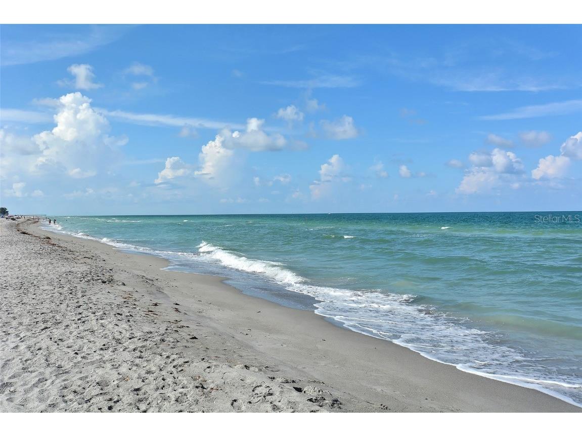 555 The Esplanade N #303 Venice FL 34285 - GULF A4665346 image45
