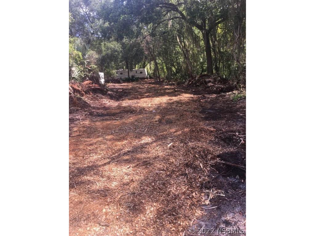 555 W Ariel Road Edgewater FL 32141 NS1067189 image1